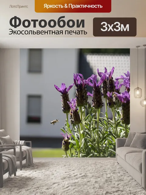 Фотообои Пчела