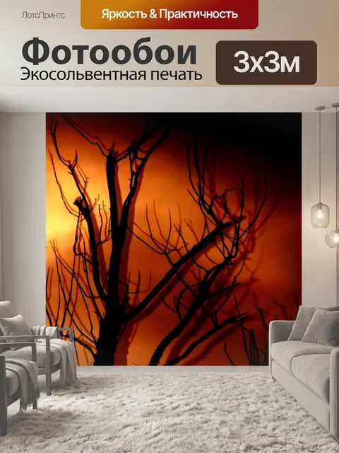 Фотообои Тень дерева