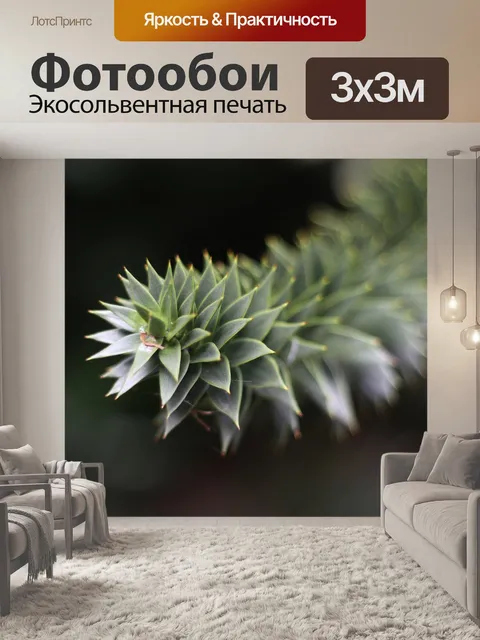 Фотообои Растения