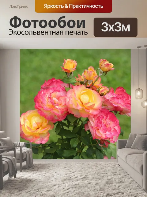 Фотообои Розы