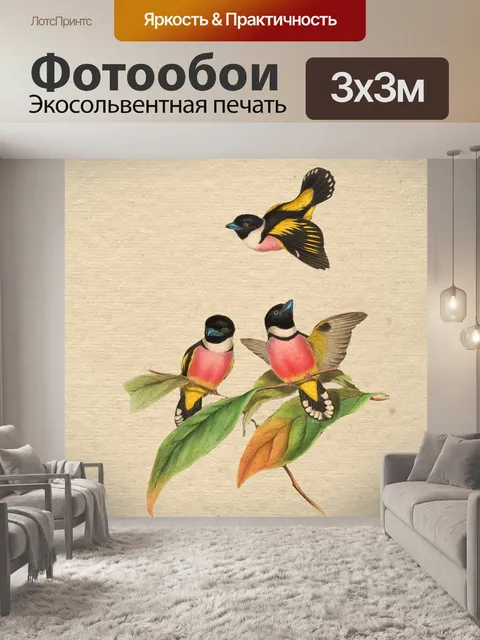 Фотообои Птица