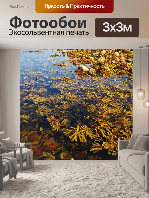 Фотообои Водоросли