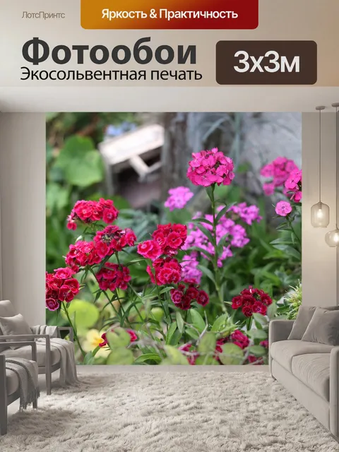 Фотообои Цветы