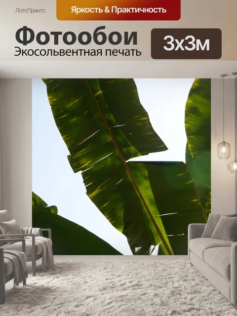 Фотообои Пальма