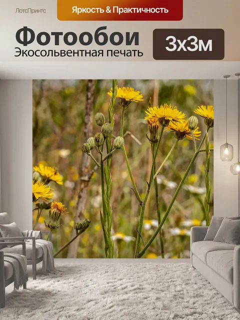 Фотообои Цветы