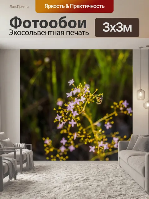 Фотообои Трава цветочное поле, полевые цветы