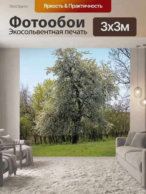 Фотообои Дерево