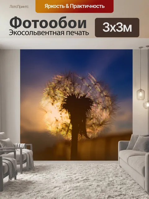 Фотообои Одуванчик
