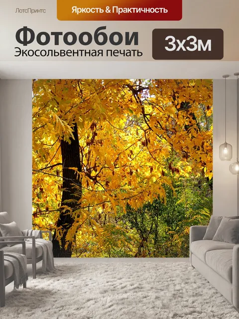 Фотообои Осень