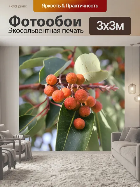 Фотообои Дикий