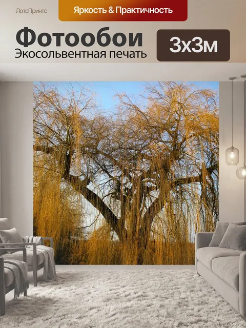 Фотообои Плакучая ива