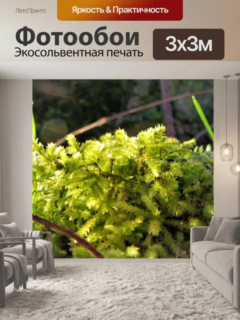 Фотообои Мох
