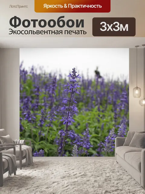 Фотообои Лаванда