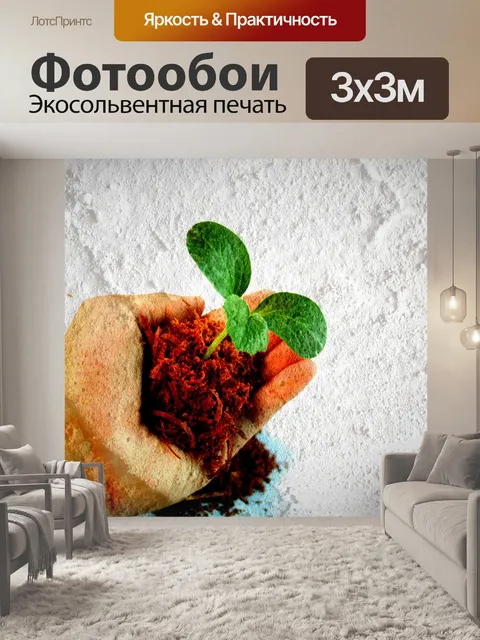 Фотообои Маленькое дерево
