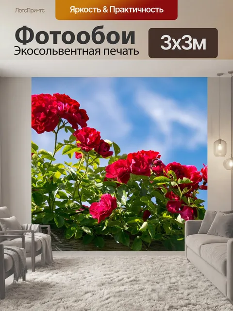Фотообои Роза высота