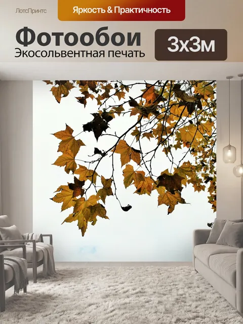 Фотообои Клен