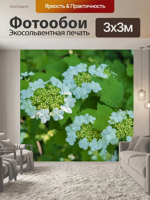 Фотообои Листья
