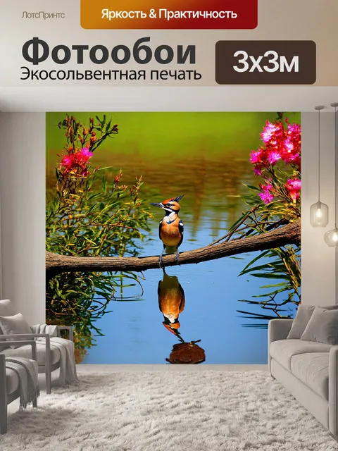 Фотообои удод, сидящий на ветке экзотического дерева, внимательно наблюдает за своим отражением в водной глади пруда…