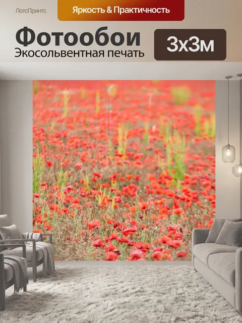 Фотообои Маковое поле