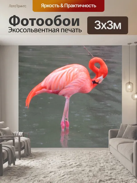 Фотообои Фламинго