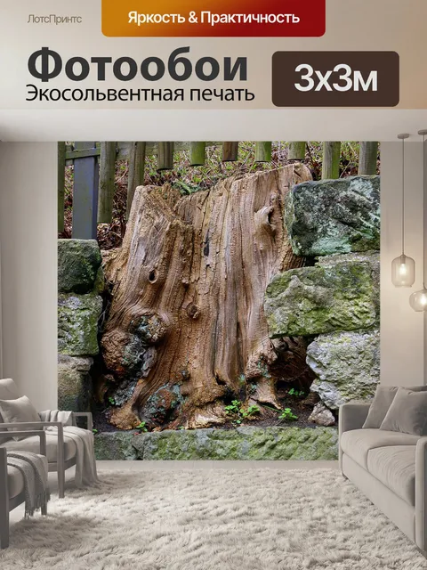 Фотообои Ствол дерева