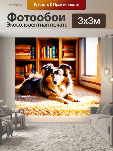 Фотообои шелти, собака с выразительными глазами, лежит на мягком ковре в уютной комнате