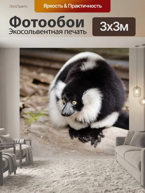 Фотообои Животное