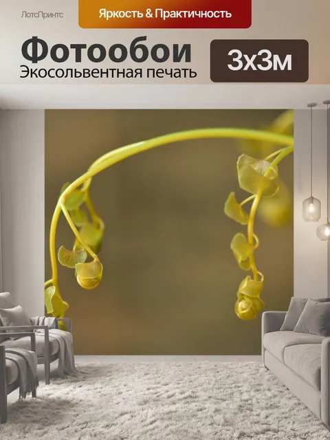 Фотообои Листья папоротника