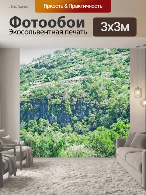 Фотообои холм с скалы покрыты деревьями