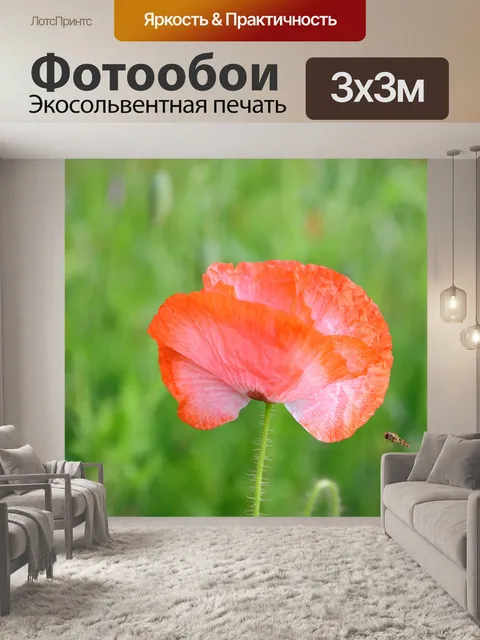 Фотообои Мак