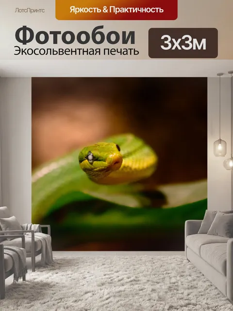 Фотообои Линия