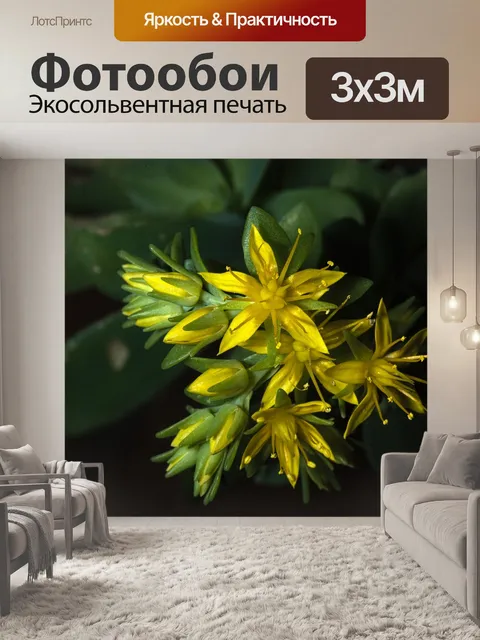 Фотообои Цветок