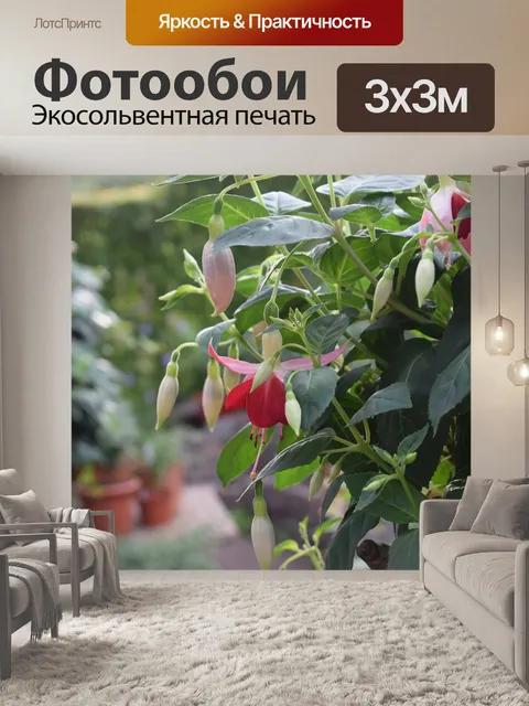 Фотообои Фуксия