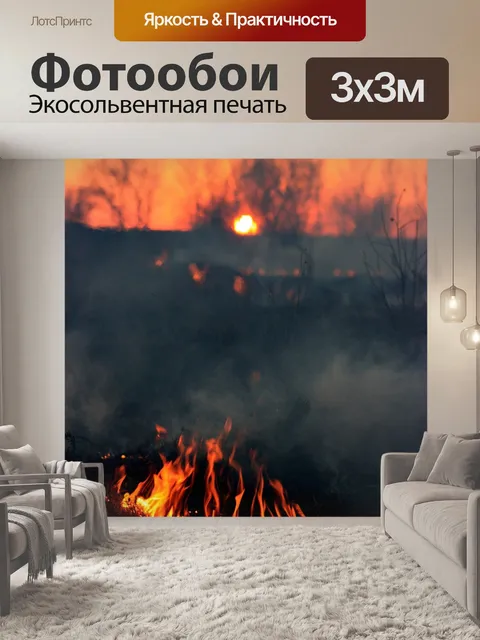Фотообои Пожар