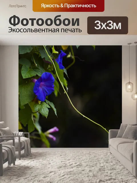 Фотообои Цветы