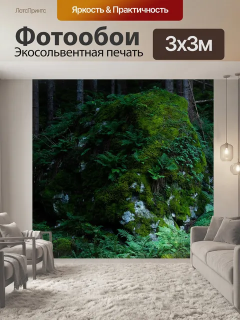 Фотообои Лес