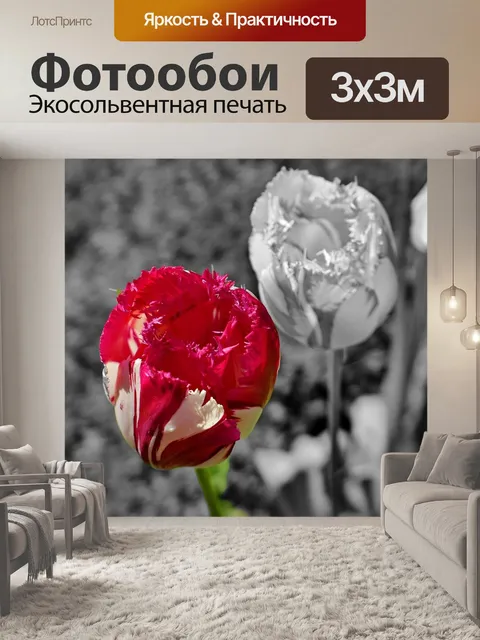Фотообои Тюльпаны