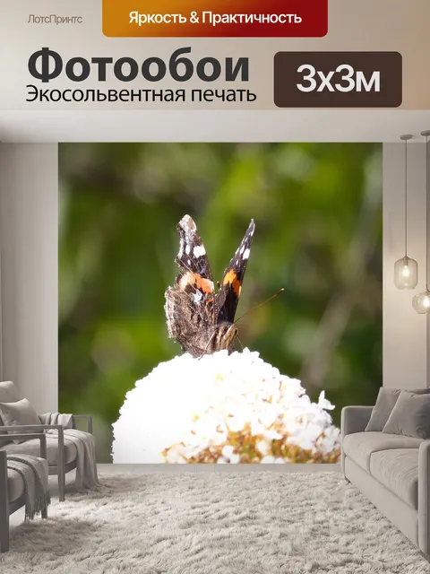 Фотообои Бабочка