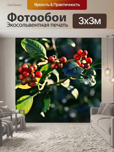 Фотообои Ягода