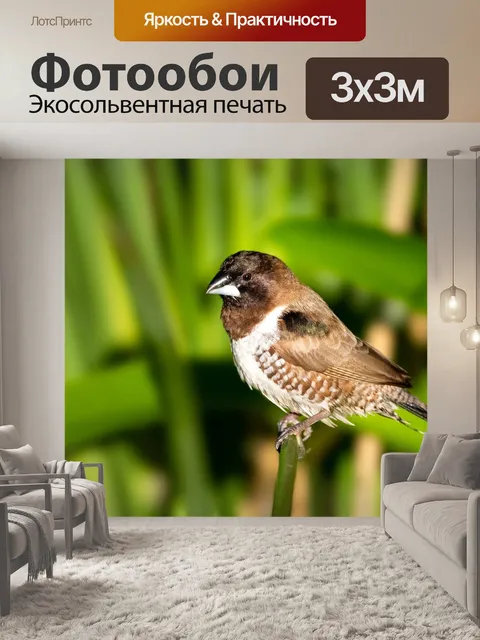 Фотообои Бронзового человечка