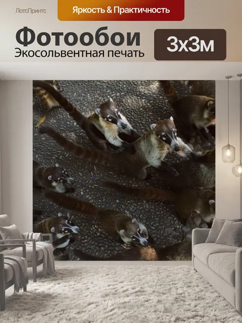 Фотообои Коати