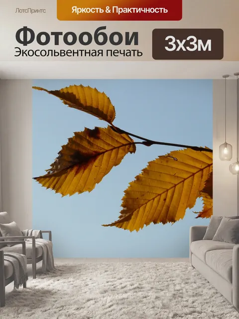 Фотообои Лист