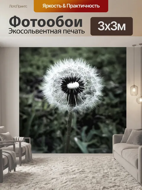 Фотообои Одуванчик