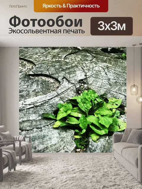 Фотообои Природа