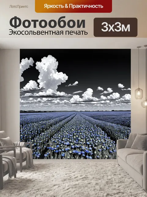 Фотообои черно-белый: панорама из васильковых полей, растянувшихся до горизонта