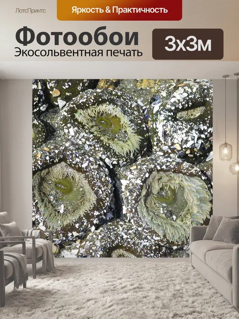 Фотообои Море