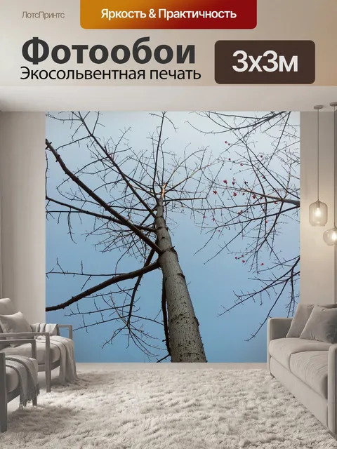 Фотообои Сейба дерево в зимний период