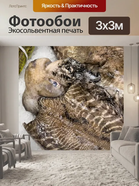 Фотообои свежий кальмар на льду