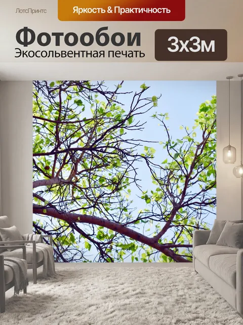 Фотообои Деревья и листья 58
