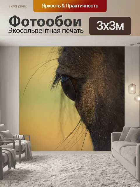 Фотообои Лошадь